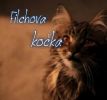 Filchova kočka - 1. kapitola, Filchova sestra