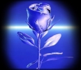 Vznik skleněné růže